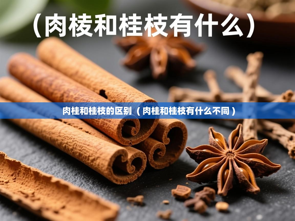  肉桂和桂枝的区别  ( 肉桂和桂枝有什么不同 )