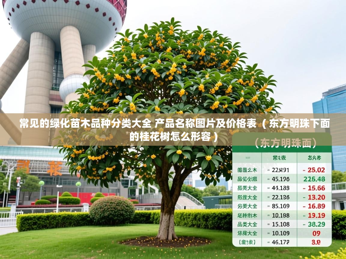 常见的绿化苗木品种分类大全 产品名称图片及价格表  ( 东方明珠下面的桂花树怎么形容 )