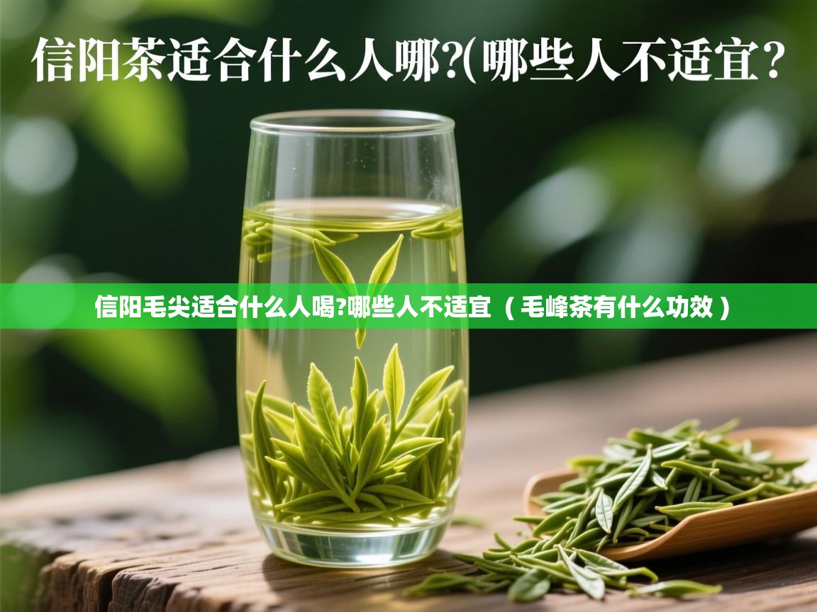  信阳毛尖适合什么人喝?哪些人不适宜  ( 毛峰茶有什么功效 )