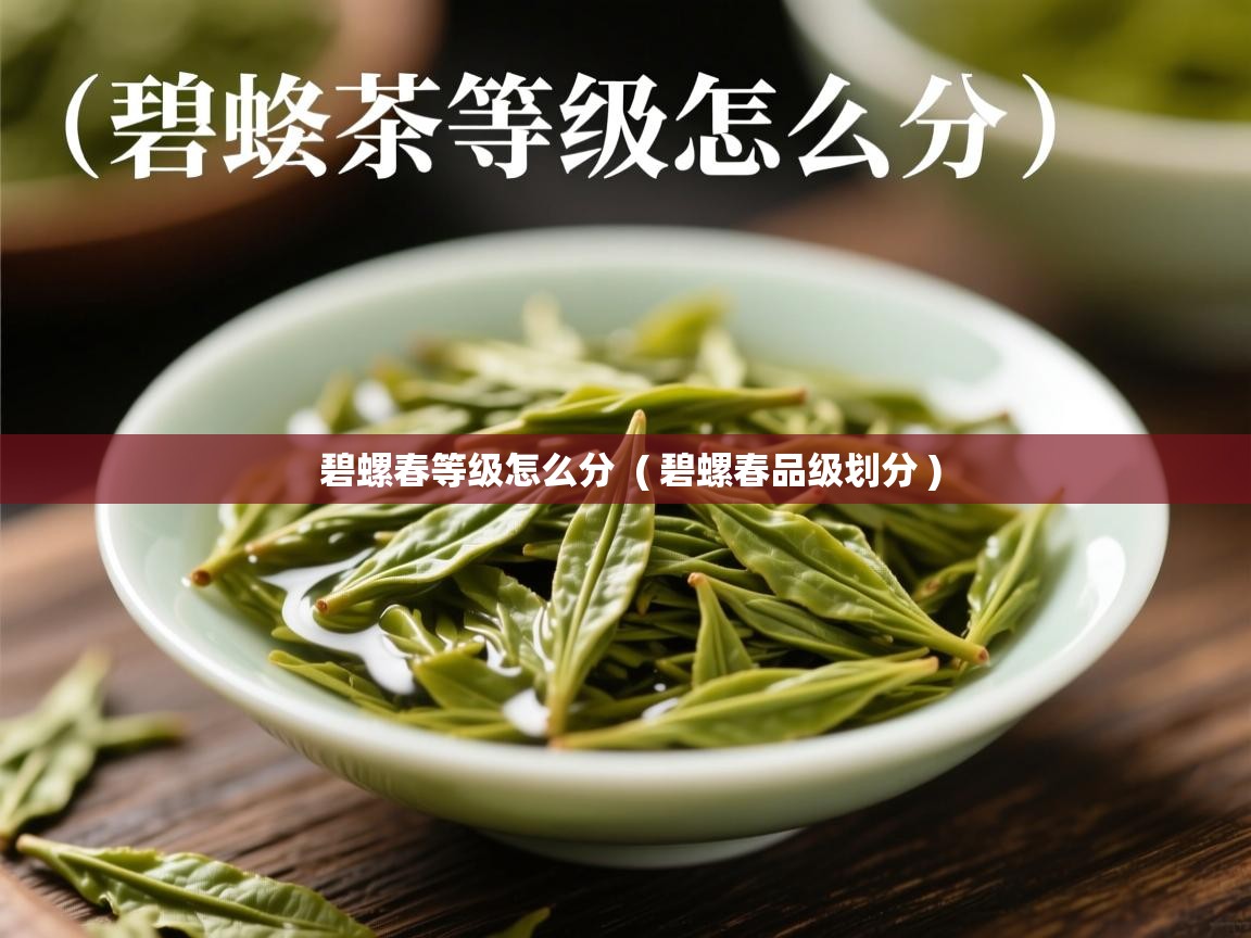  碧螺春等级怎么分  ( 碧螺春品级划分 )