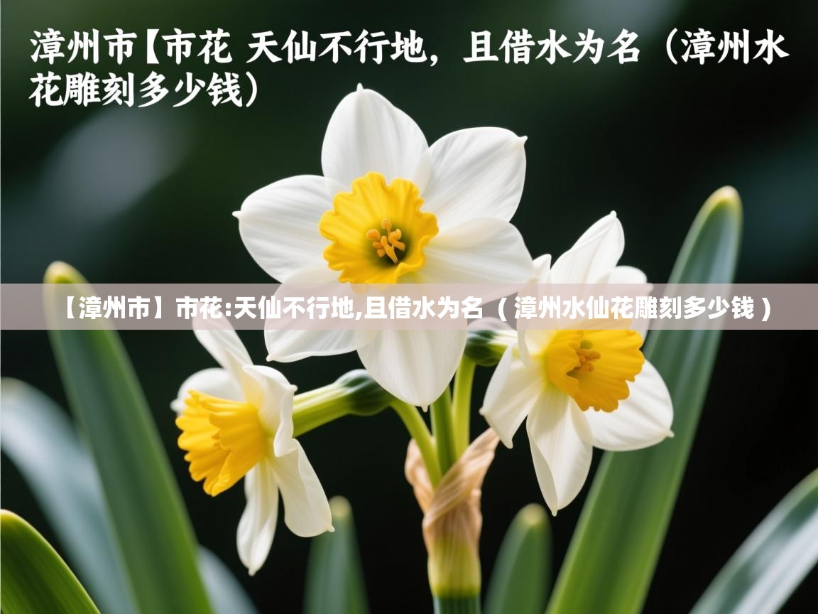【漳州市】市花:天仙不行地,且借水为名  ( 漳州水仙花雕刻多少钱 )  【漳州市】市花:天仙不行地,且借水为名  ( 漳州水仙花雕刻多少钱 )