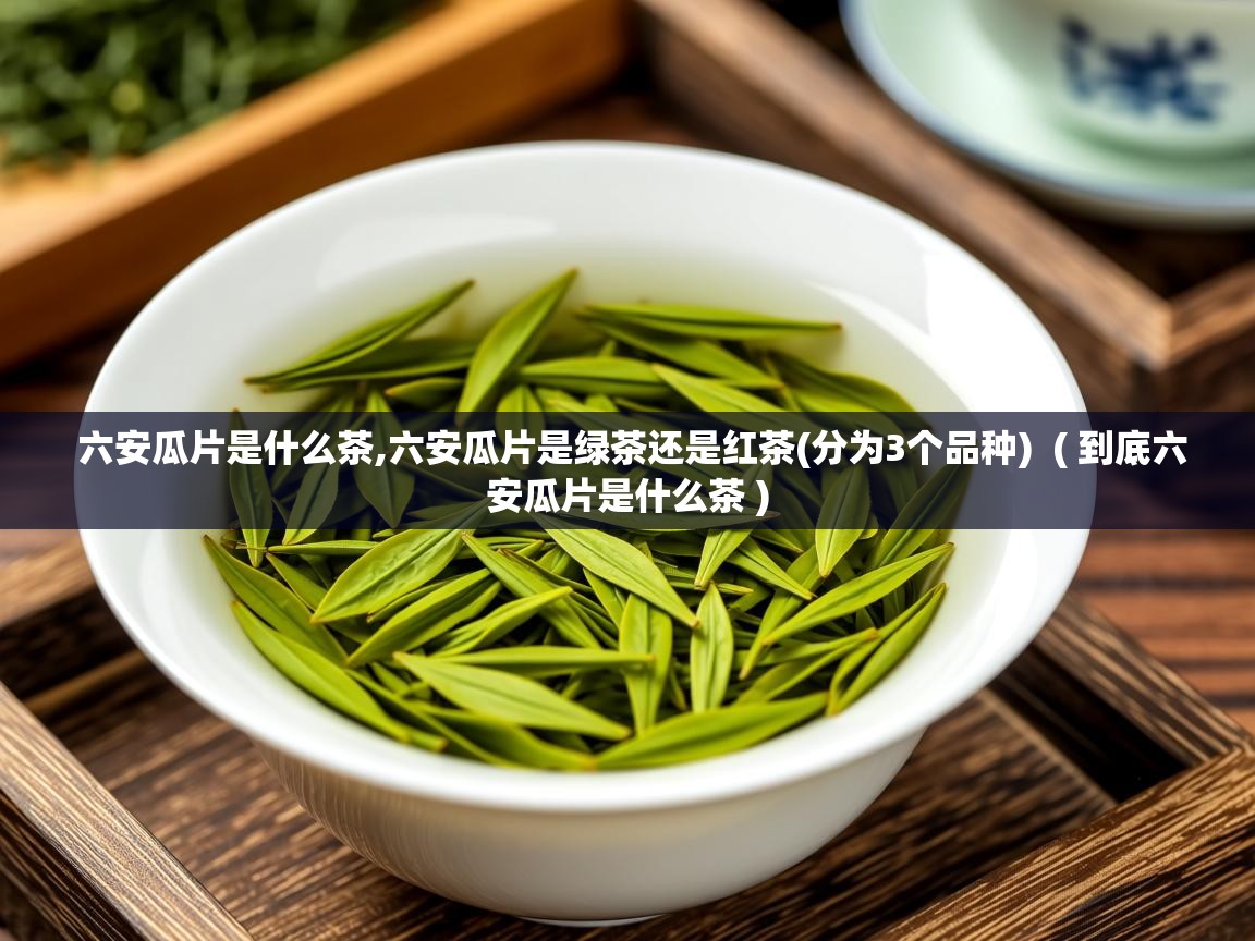 六安瓜片是什么茶,六安瓜片是绿茶还是红茶(分为3个品种)  ( 到底六安瓜片是什么茶 )  六安瓜片是什么茶,六安瓜片是绿茶还是红茶(分为3个品种)  ( 到底六安瓜片是什么茶 )