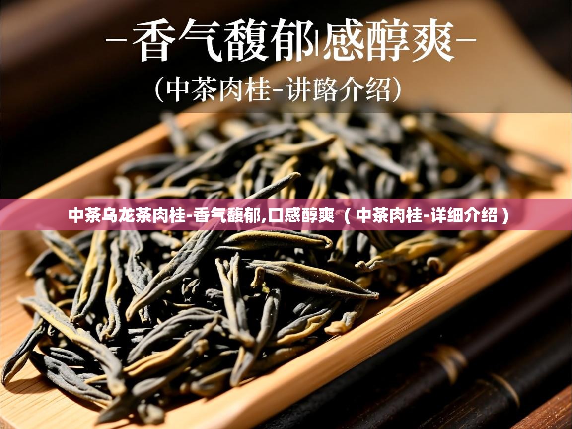 中茶乌龙茶肉桂-香气馥郁,口感醇爽  ( 中茶肉桂-详细介绍 )  中茶乌龙茶肉桂-香气馥郁,口感醇爽  ( 中茶肉桂-详细介绍 )