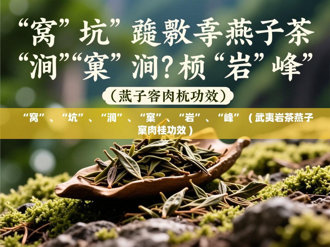 “窝”、“坑”、“涧”、“窠”、“岩”、“峰”  ( 武夷岩茶燕子窠肉桂功效 )  “窝”、“坑”、“涧”、“窠”、“岩”、“峰”  ( 武夷岩茶燕子窠肉桂功效 )