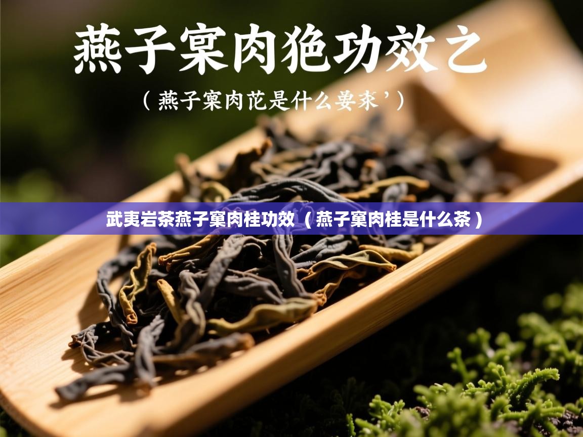 武夷岩茶燕子窠肉桂功效  ( 燕子窠肉桂是什么茶 )  武夷岩茶燕子窠肉桂功效  ( 燕子窠肉桂是什么茶 )
