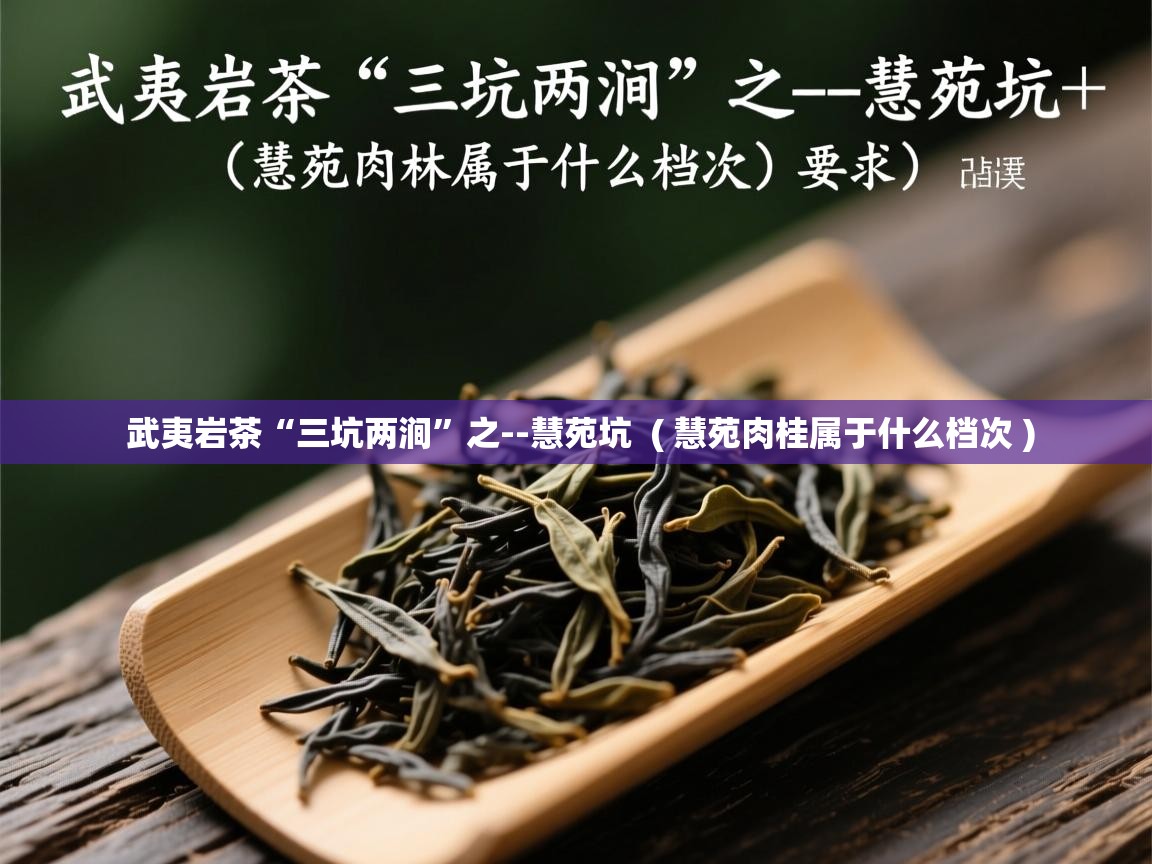 武夷岩茶“三坑两涧”之--慧苑坑  ( 慧苑肉桂属于什么档次 )  武夷岩茶“三坑两涧”之--慧苑坑  ( 慧苑肉桂属于什么档次 )