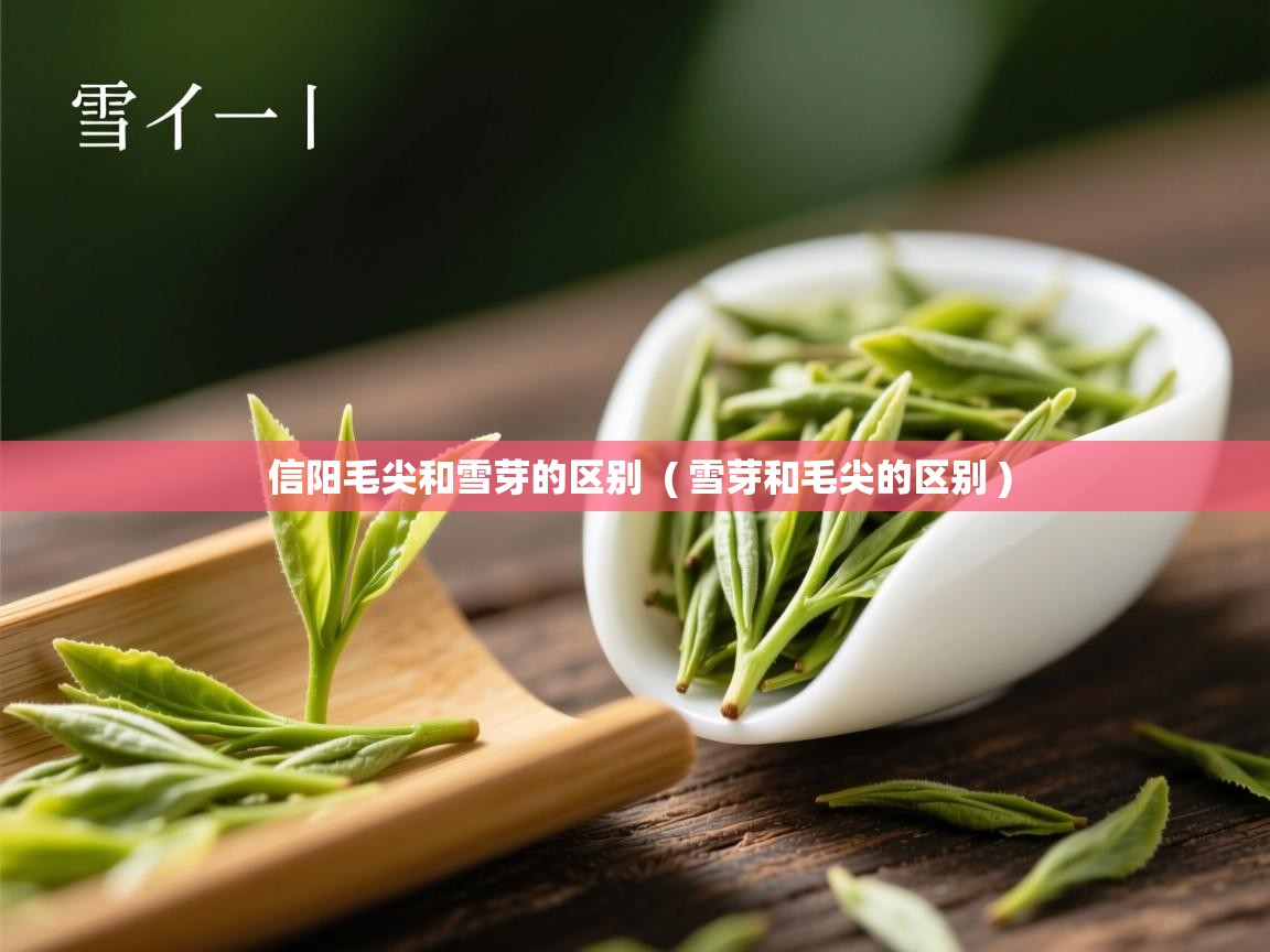 信阳毛尖和雪芽的区别  ( 雪芽和毛尖的区别 )  信阳毛尖和雪芽的区别  ( 雪芽和毛尖的区别 )