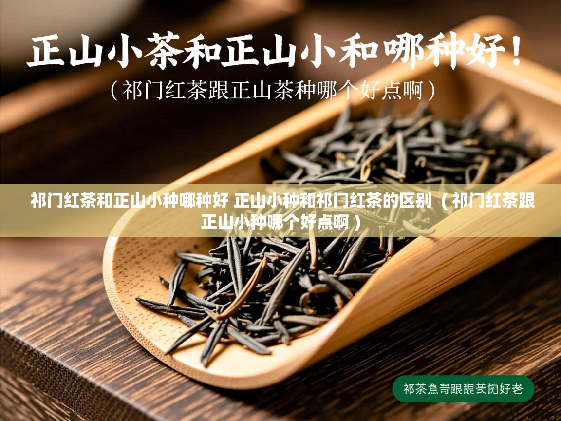 详细阅读: 祁门红茶和正山小种哪种好 正山小种和祁门红茶的区别  ( 祁门红茶跟正山小种哪个好点啊 )  祁门红茶和正山小种哪种好 正山小种和祁门红茶的区别  ( 祁门红茶跟正山小种哪个好点啊 )