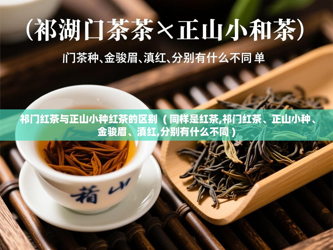 祁门红茶与正山小种红茶的区别  ( 同样是红茶,祁门红茶、正山小种、金骏眉、滇红,分别有什么不同 )  祁门红茶与正山小种红茶的区别  ( 同样是红茶,祁门红茶、正山小种、金骏眉、滇红,分别有什么不同 )