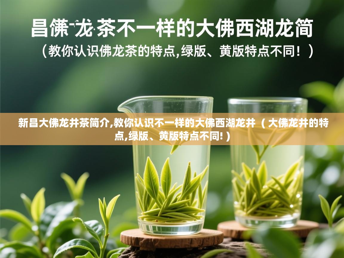 新昌大佛龙井茶简介,教你认识不一样的大佛西湖龙井  ( 大佛龙井的特点,绿版、黄版特点不同! )  新昌大佛龙井茶简介,教你认识不一样的大佛西湖龙井  ( 大佛龙井的特点,绿版、黄版特点不同! )