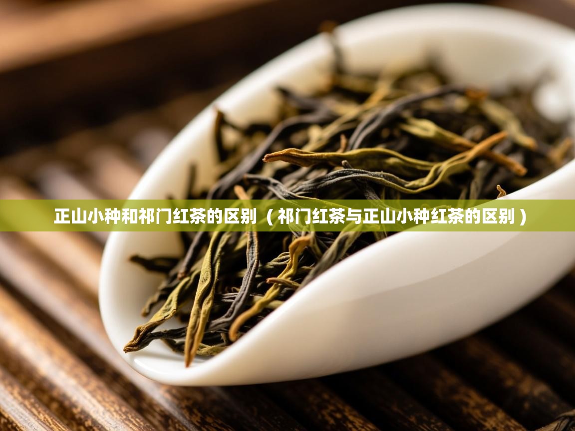 正山小种和祁门红茶的区别  ( 祁门红茶与正山小种红茶的区别 )  正山小种和祁门红茶的区别  ( 祁门红茶与正山小种红茶的区别 )