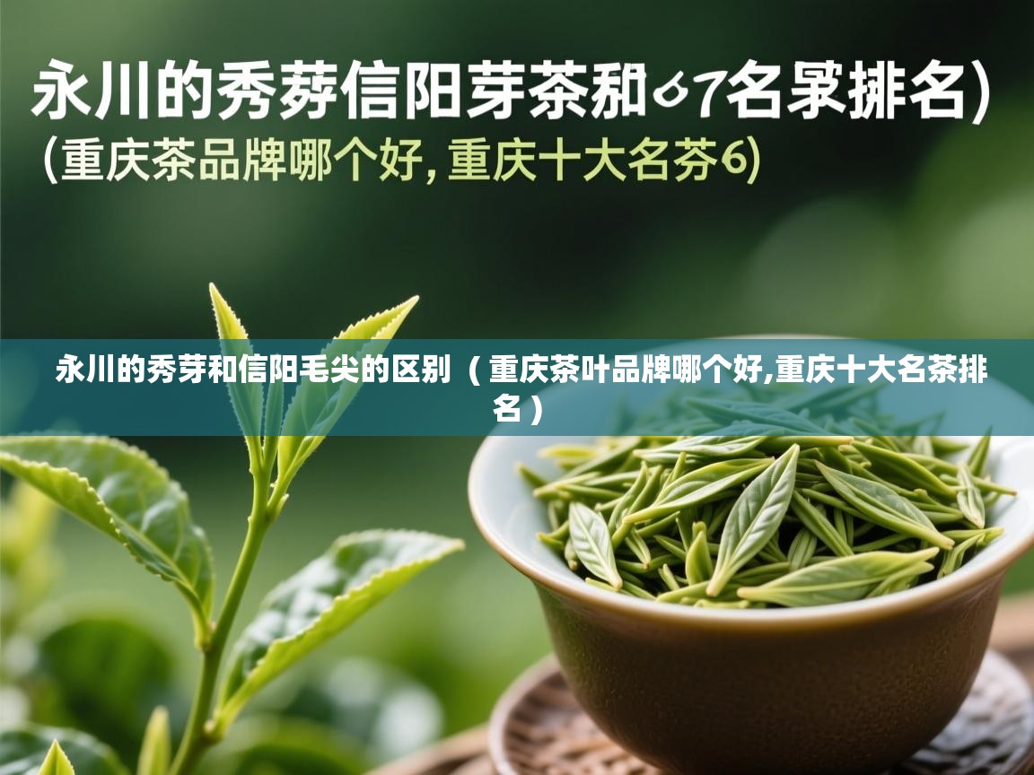 永川的秀芽和信阳毛尖的区别  ( 重庆茶叶品牌哪个好,重庆十大名茶排名 )  永川的秀芽和信阳毛尖的区别  ( 重庆茶叶品牌哪个好,重庆十大名茶排名 )