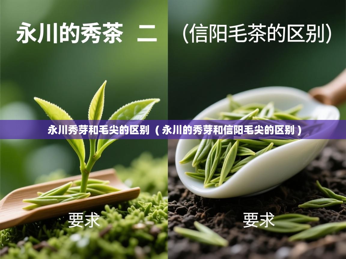 永川秀芽和毛尖的区别  ( 永川的秀芽和信阳毛尖的区别 )  永川秀芽和毛尖的区别  ( 永川的秀芽和信阳毛尖的区别 )