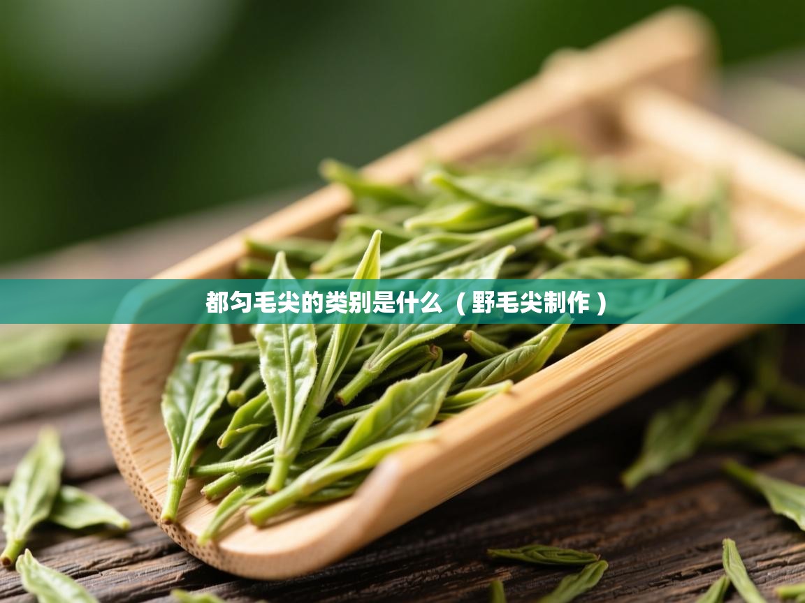  都匀毛尖的类别是什么  ( 野毛尖制作 )