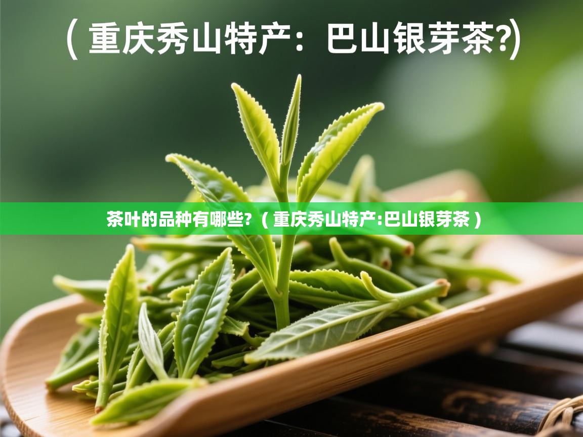 茶叶的品种有哪些?  ( 重庆秀山特产:巴山银芽茶 )  茶叶的品种有哪些?  ( 重庆秀山特产:巴山银芽茶 )