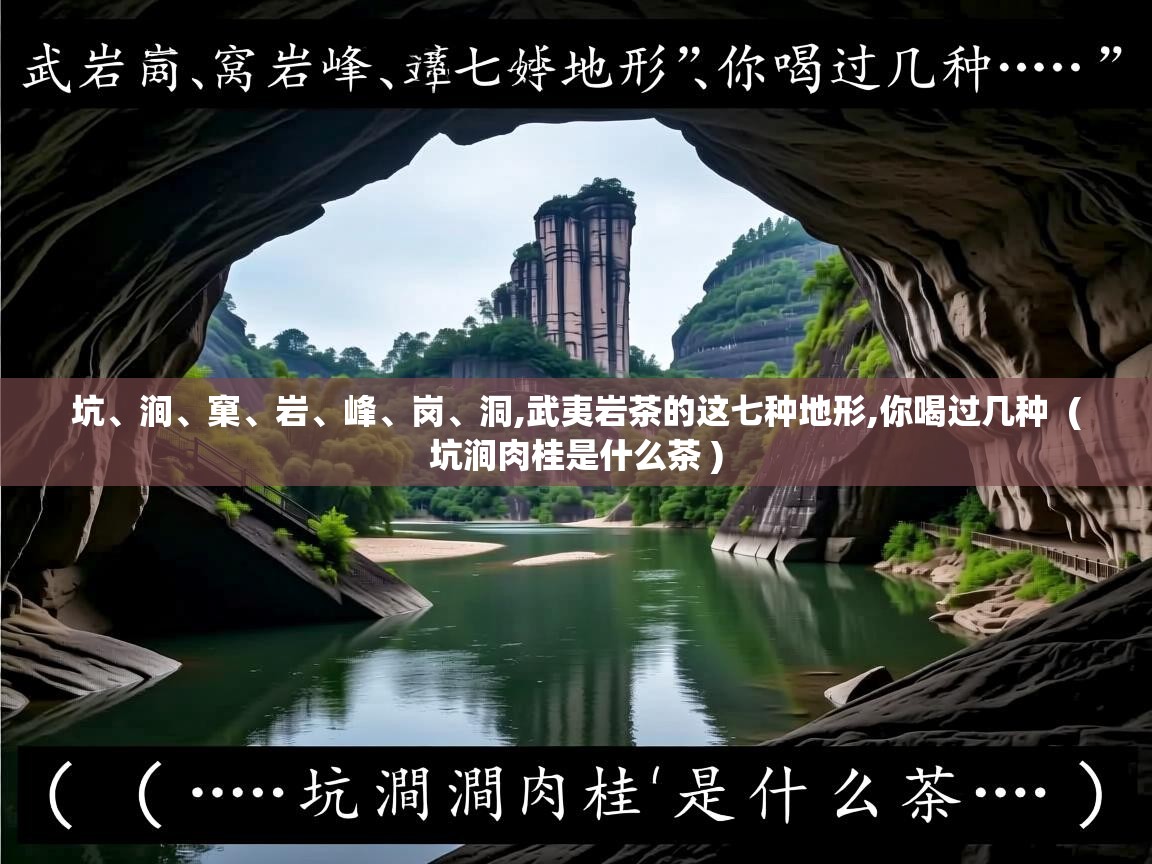  坑、涧、窠、岩、峰、岗、洞,武夷岩茶的这七种地形,你喝过几种  ( 坑涧肉桂是什么茶 )
