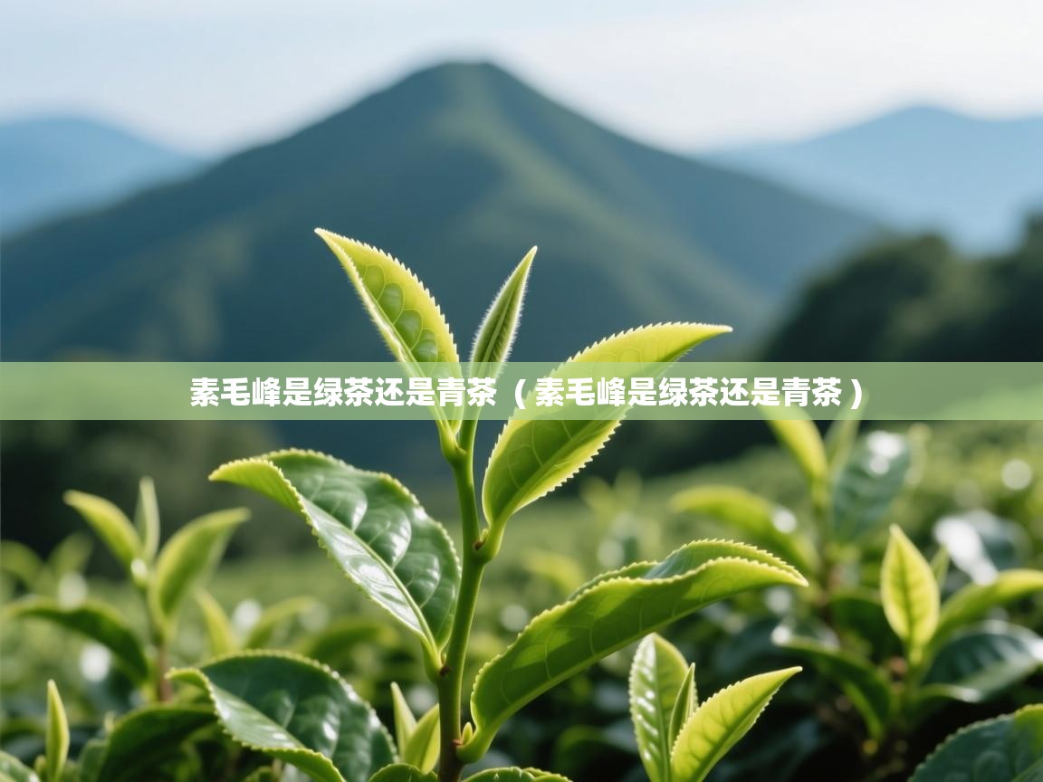  素毛峰是绿茶还是青茶  ( 素毛峰是绿茶还是青茶 )