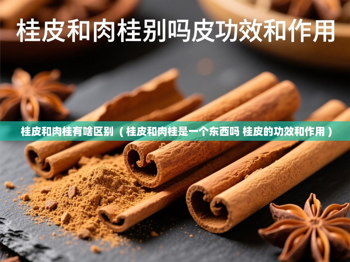  桂皮和肉桂有啥区别  ( 桂皮和肉桂是一个东西吗 桂皮的功效和作用 )