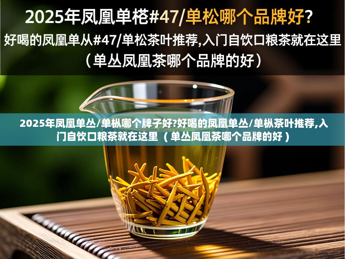  2025年凤凰单丛/单枞哪个牌子好?好喝的凤凰单丛/单枞茶叶推荐,入门自饮口粮茶就在这里  ( 单丛凤凰茶哪个品牌的好 )