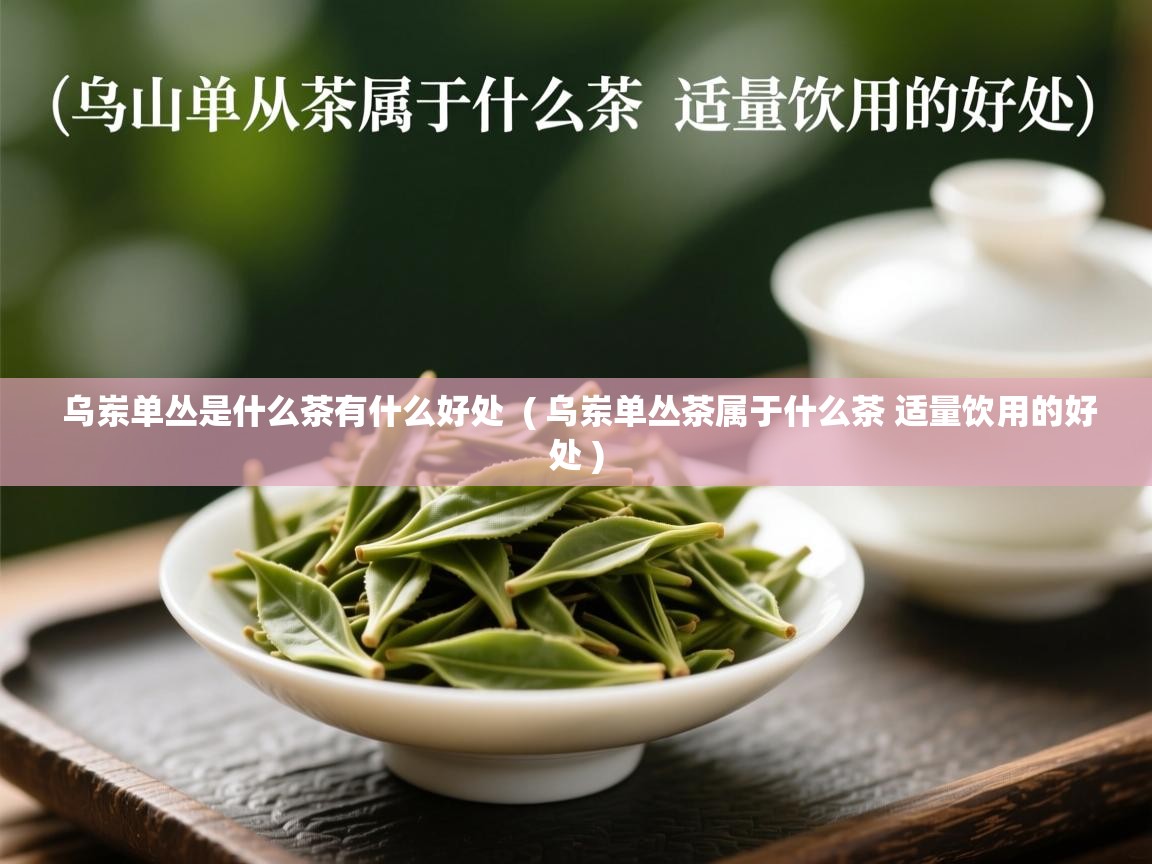  乌岽单丛是什么茶有什么好处  ( 乌岽单丛茶属于什么茶 适量饮用的好处 )