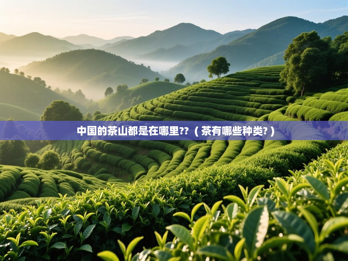 中国的茶山都是在哪里??  ( 茶有哪些种类? )  中国的茶山都是在哪里??  ( 茶有哪些种类? )
