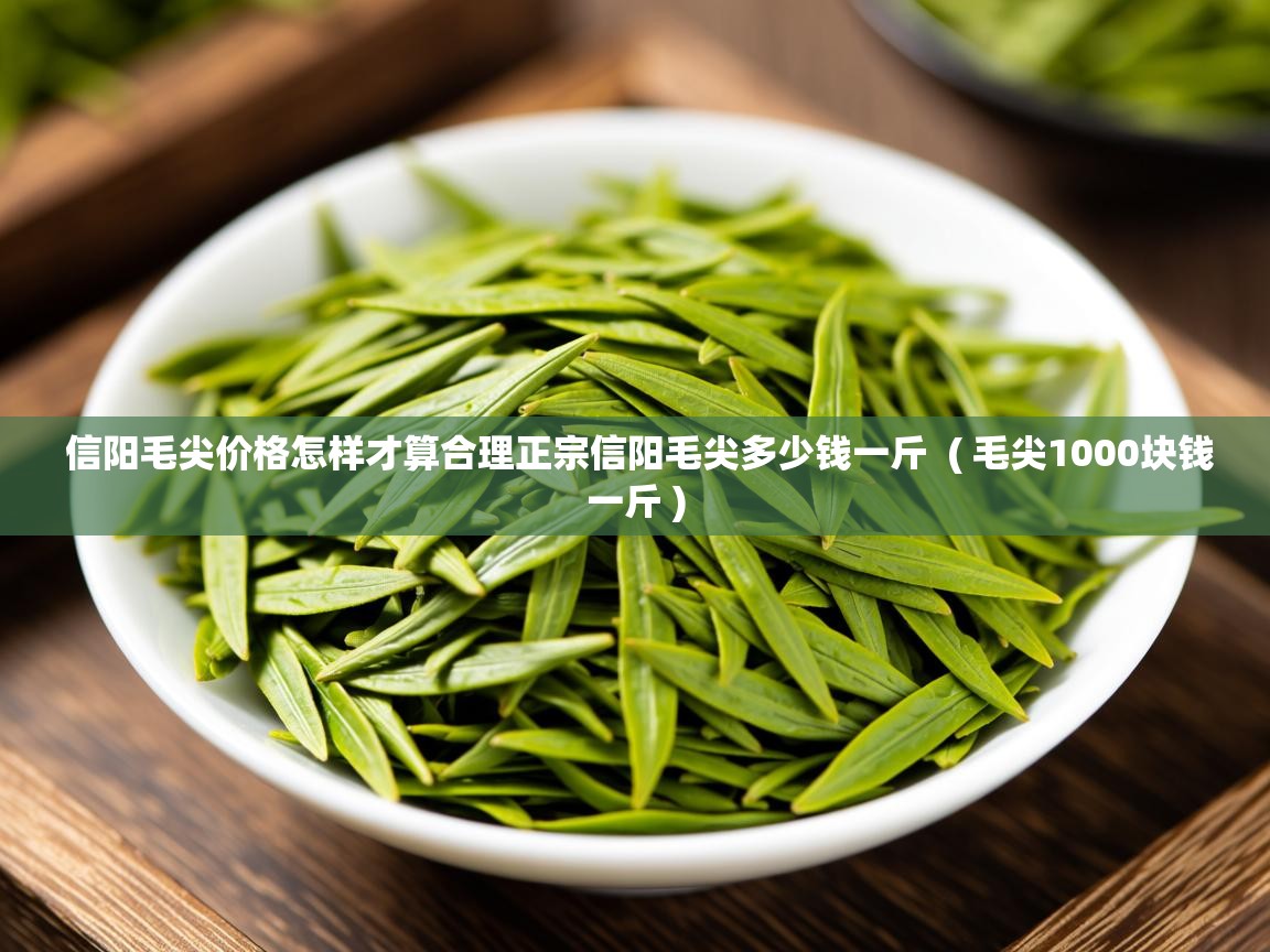 信阳毛尖价格怎样才算合理正宗信阳毛尖多少钱一斤  ( 毛尖1000块钱一斤 )  信阳毛尖价格怎样才算合理正宗信阳毛尖多少钱一斤  ( 毛尖1000块钱一斤 )