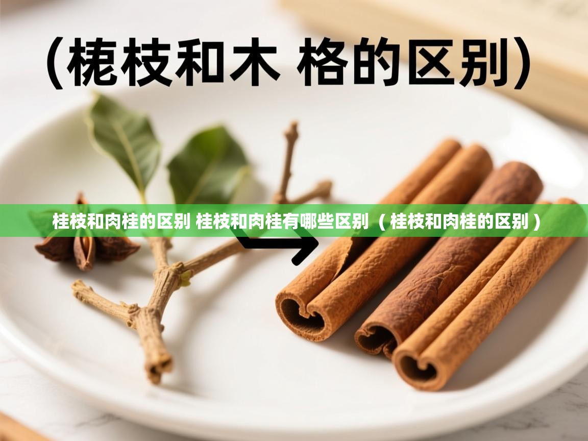  桂枝和肉桂的区别 桂枝和肉桂有哪些区别  ( 桂枝和肉桂的区别 )