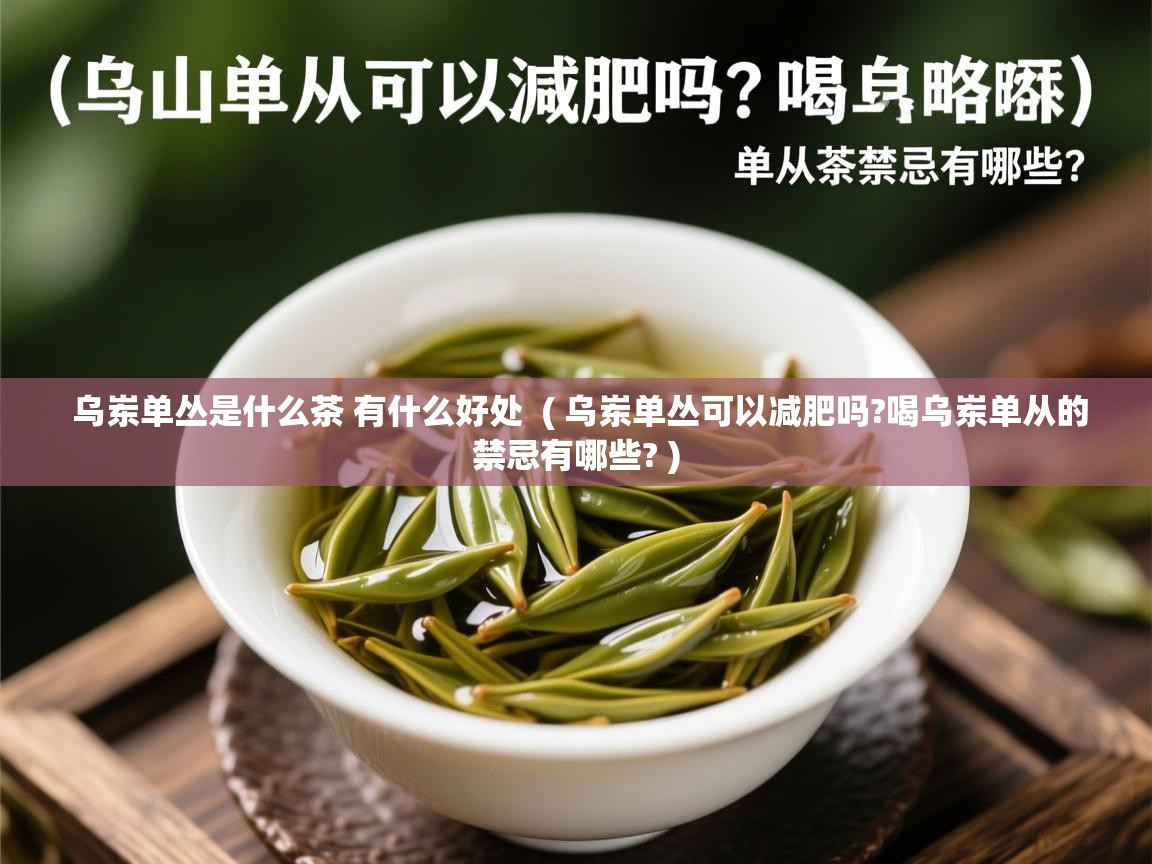  乌岽单丛是什么茶 有什么好处  ( 乌岽单丛可以减肥吗?喝乌岽单从的禁忌有哪些? )