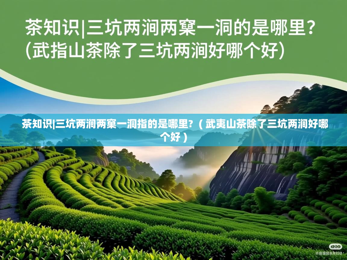茶知识|三坑两涧两窠一洞指的是哪里?  ( 武夷山茶除了三坑两涧好哪个好 )  茶知识|三坑两涧两窠一洞指的是哪里?  ( 武夷山茶除了三坑两涧好哪个好 )