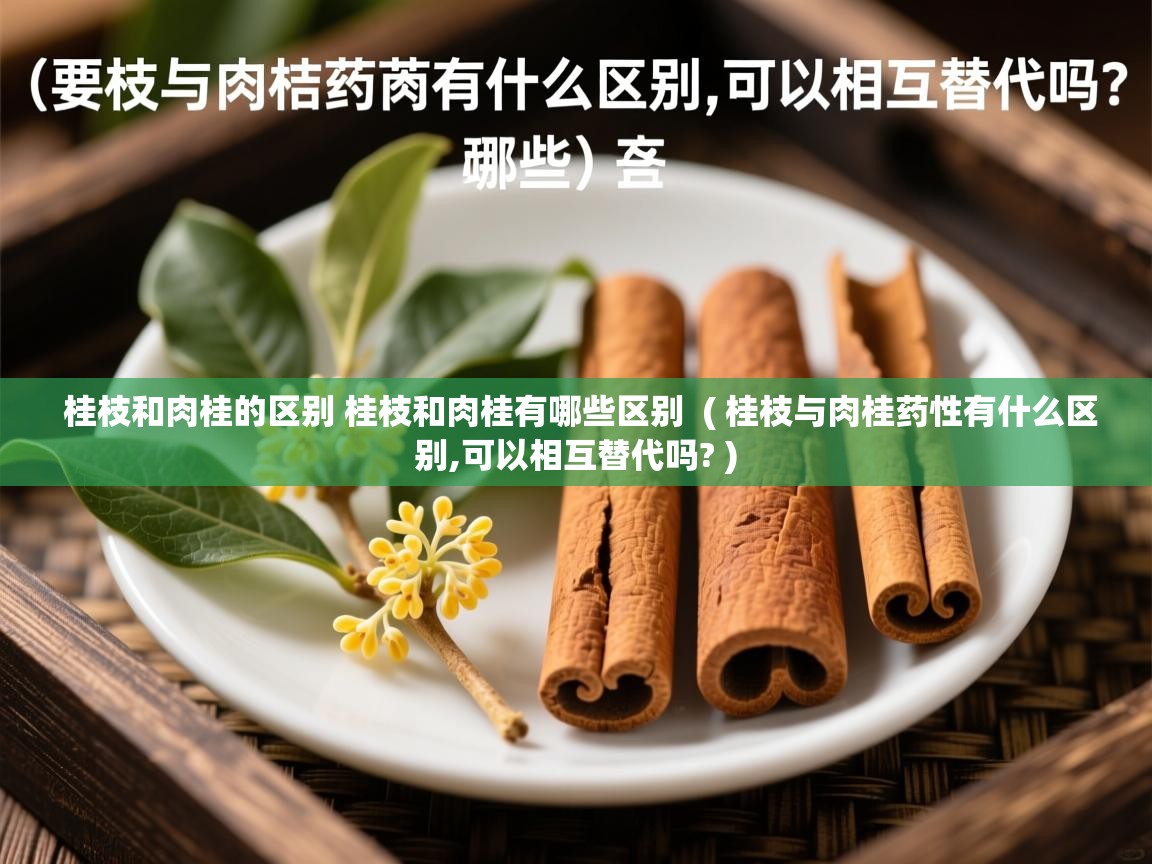  桂枝和肉桂的区别 桂枝和肉桂有哪些区别  ( 桂枝与肉桂药性有什么区别,可以相互替代吗? )