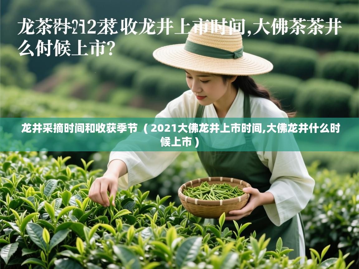 详细阅读: 龙井采摘时间和收获季节  ( 2021大佛龙井上市时间,大佛龙井什么时候上市 )  龙井采摘时间和收获季节  ( 2021大佛龙井上市时间,大佛龙井什么时候上市 )