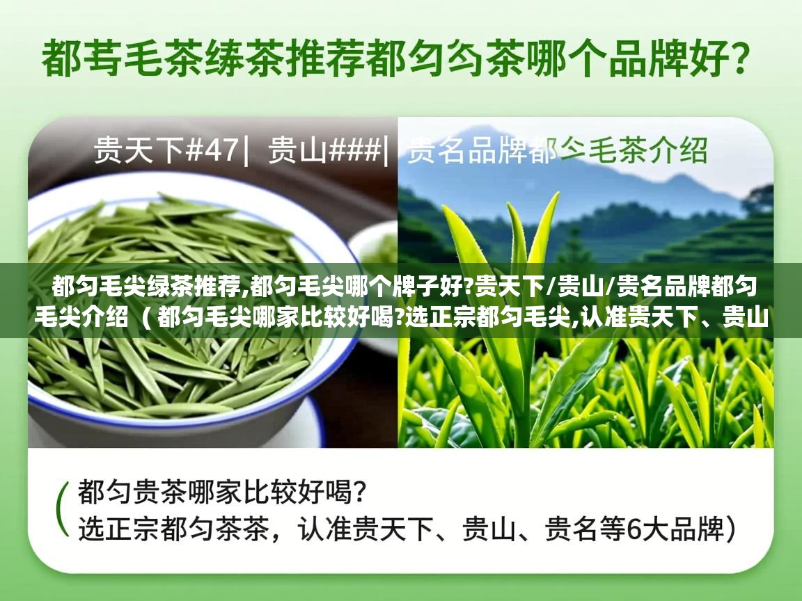 都匀毛尖绿茶推荐,都匀毛尖哪个牌子好?贵天下/贵山/贵名品牌都匀毛尖介绍  ( 都匀毛尖哪家比较好喝?选正宗都匀毛尖,认准贵天下、贵山、贵名等6大品牌 )  都匀毛尖绿茶推荐,都匀毛尖哪个牌子好?贵天下/贵山/贵名品牌都匀毛尖介绍  ( 都匀毛尖哪家比较好喝?选正宗都匀毛尖,认准贵天下、贵山、贵名等6大品牌 )