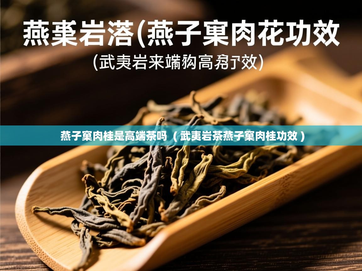 燕子窠肉桂是高端茶吗  ( 武夷岩茶燕子窠肉桂功效 )  燕子窠肉桂是高端茶吗  ( 武夷岩茶燕子窠肉桂功效 )