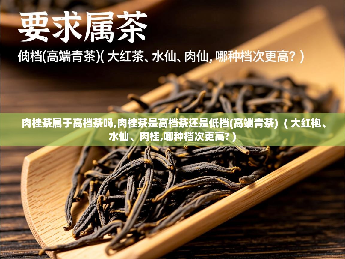 肉桂茶属于高档茶吗,肉桂茶是高档茶还是低档(高端青茶)  ( 大红袍、水仙、肉桂,哪种档次更高? )  肉桂茶属于高档茶吗,肉桂茶是高档茶还是低档(高端青茶)  ( 大红袍、水仙、肉桂,哪种档次更高? )