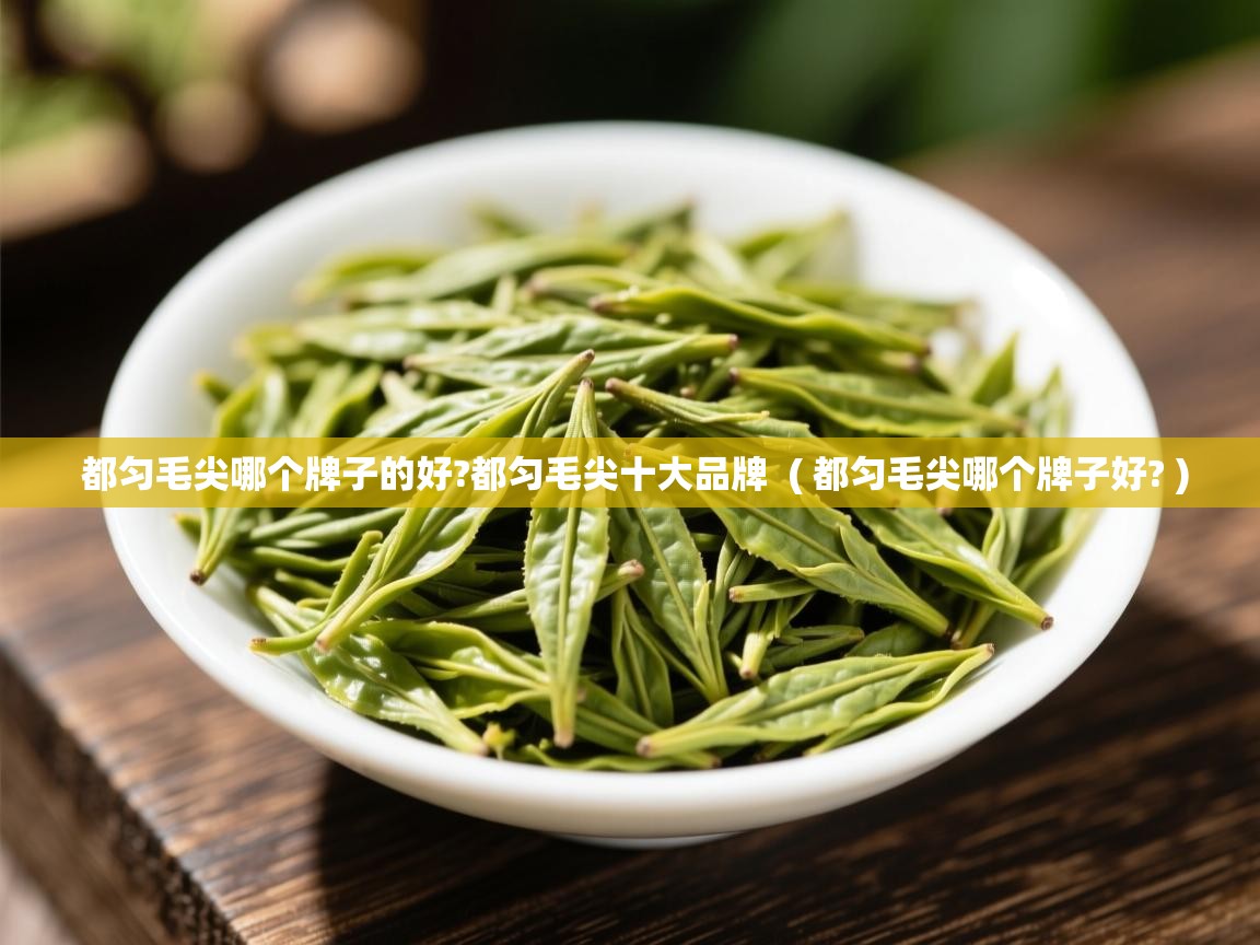 都匀毛尖哪个牌子的好?都匀毛尖十大品牌  ( 都匀毛尖哪个牌子好? )  都匀毛尖哪个牌子的好?都匀毛尖十大品牌  ( 都匀毛尖哪个牌子好? )