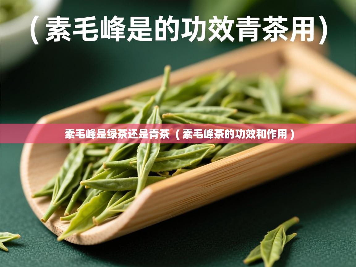  素毛峰是绿茶还是青茶  ( 素毛峰茶的功效和作用 )