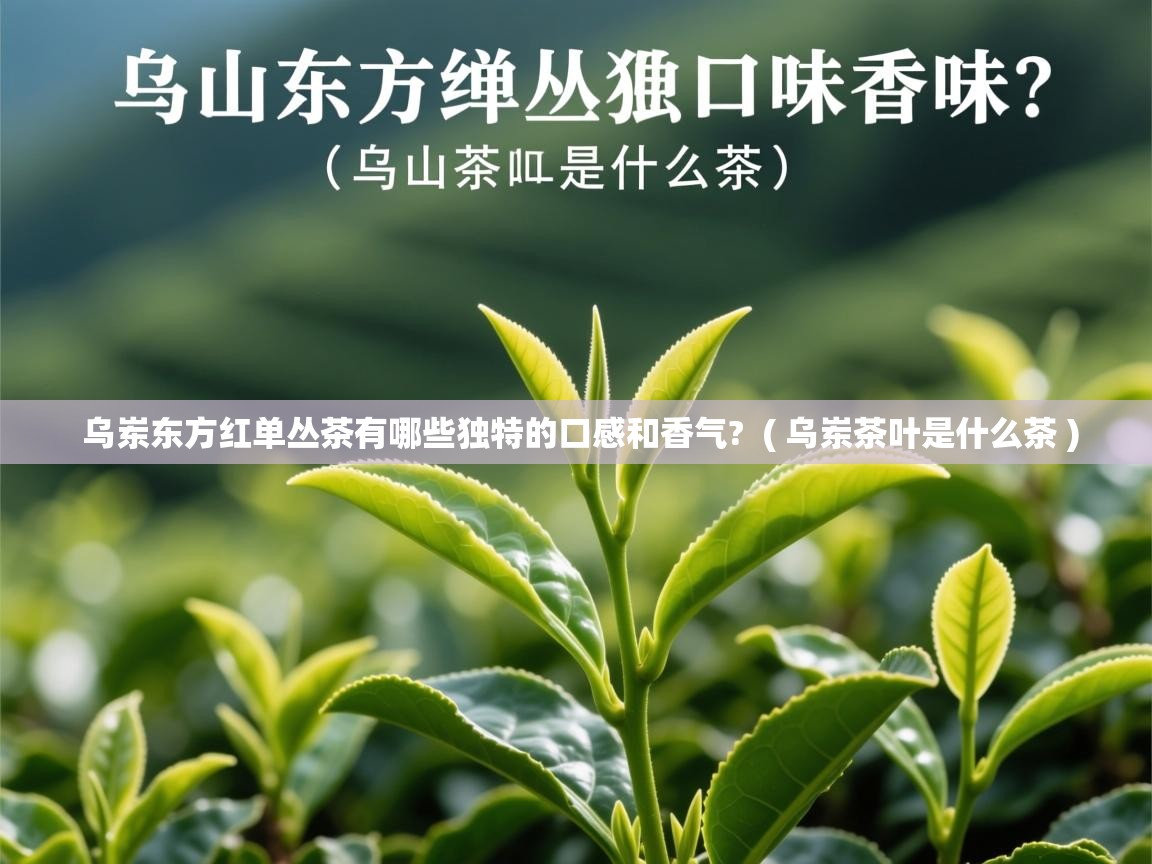  乌岽东方红单丛茶有哪些独特的口感和香气?  ( 乌岽茶叶是什么茶 )