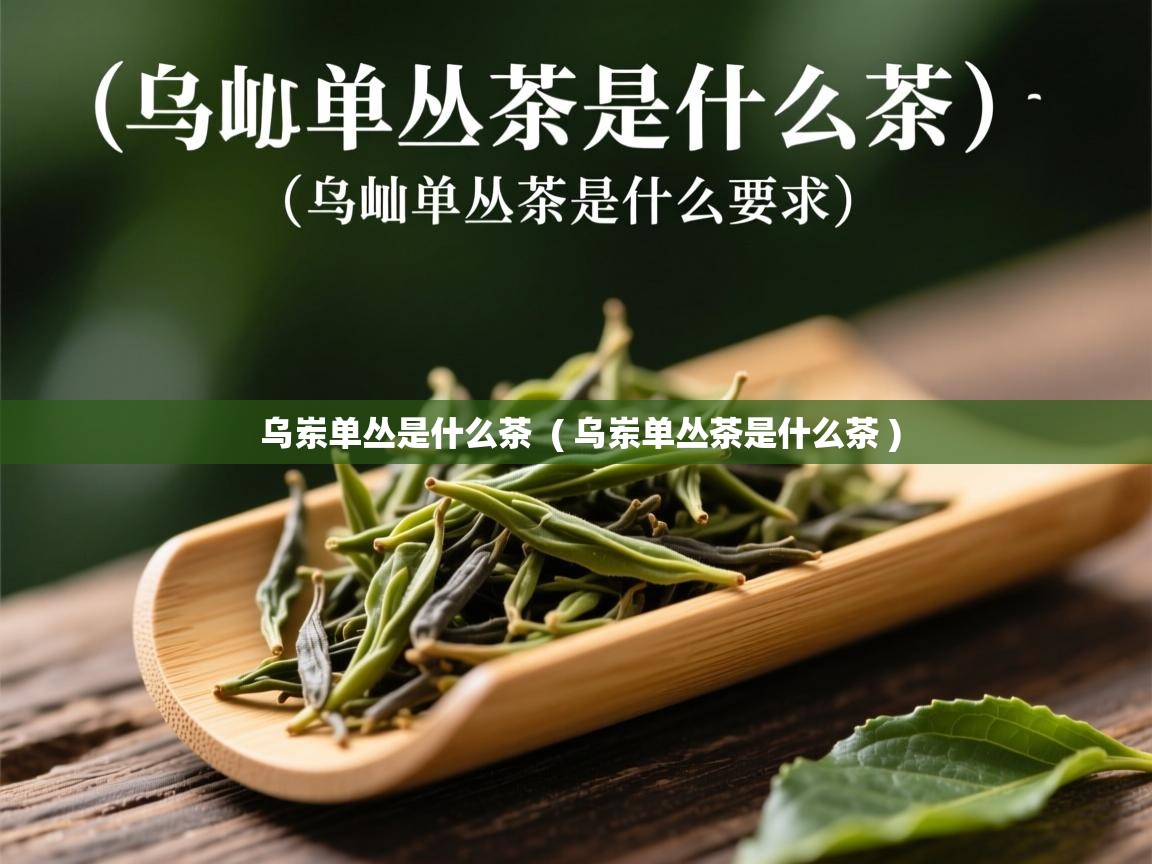  乌岽单丛是什么茶  ( 乌岽单丛茶是什么茶 )