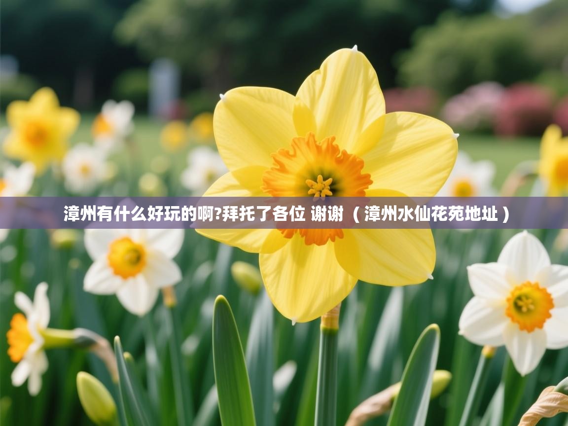 漳州有什么好玩的啊?拜托了各位 谢谢  ( 漳州水仙花苑地址 )  漳州有什么好玩的啊?拜托了各位 谢谢  ( 漳州水仙花苑地址 )
