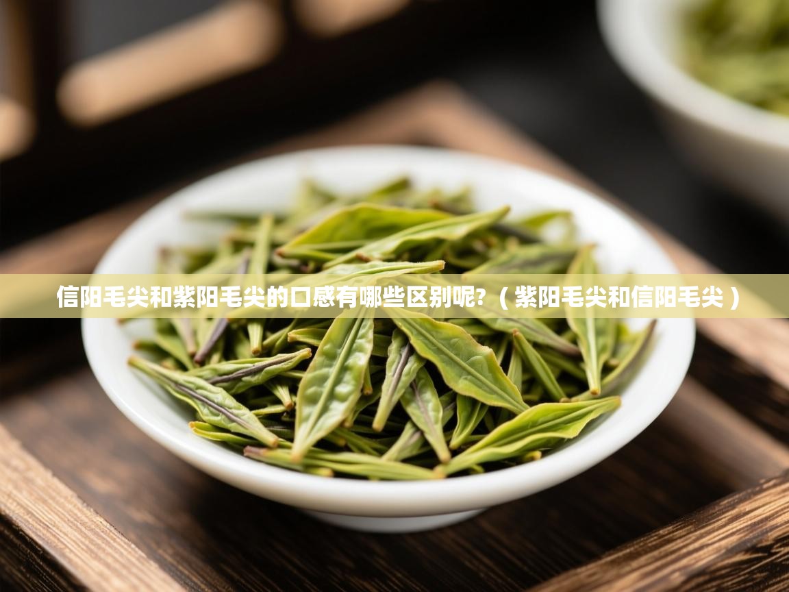 信阳毛尖和紫阳毛尖的口感有哪些区别呢?  ( 紫阳毛尖和信阳毛尖 )  信阳毛尖和紫阳毛尖的口感有哪些区别呢?  ( 紫阳毛尖和信阳毛尖 )