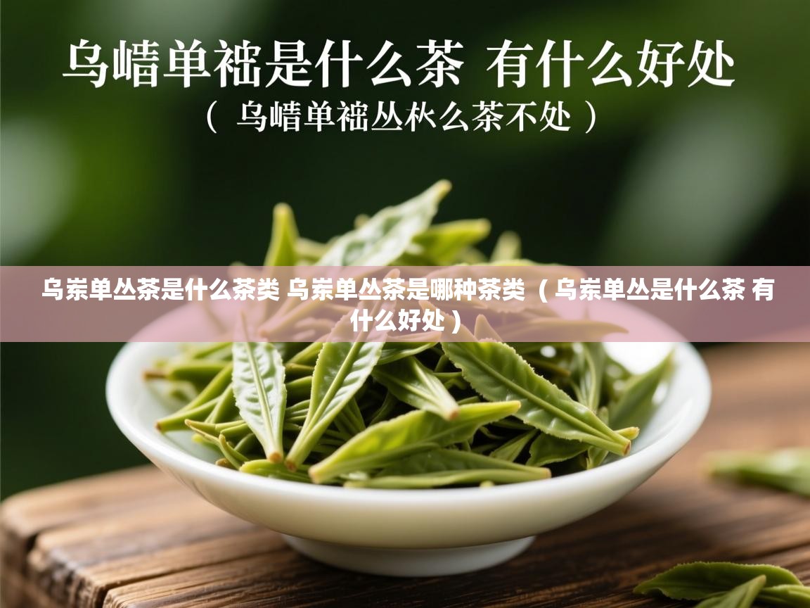  乌岽单丛茶是什么茶类 乌岽单丛茶是哪种茶类  ( 乌岽单丛是什么茶 有什么好处 )