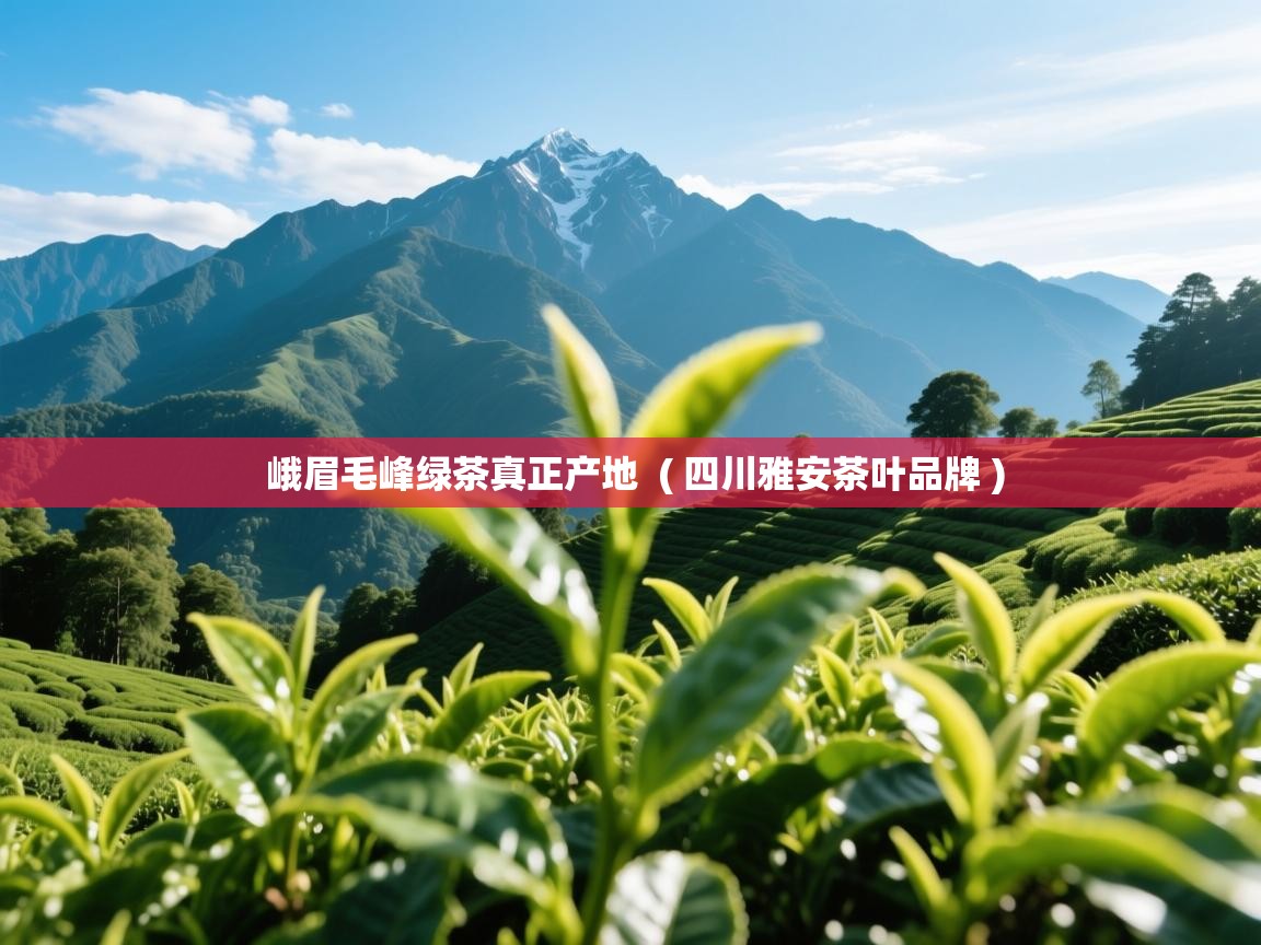  峨眉毛峰绿茶真正产地  ( 四川雅安茶叶品牌 )