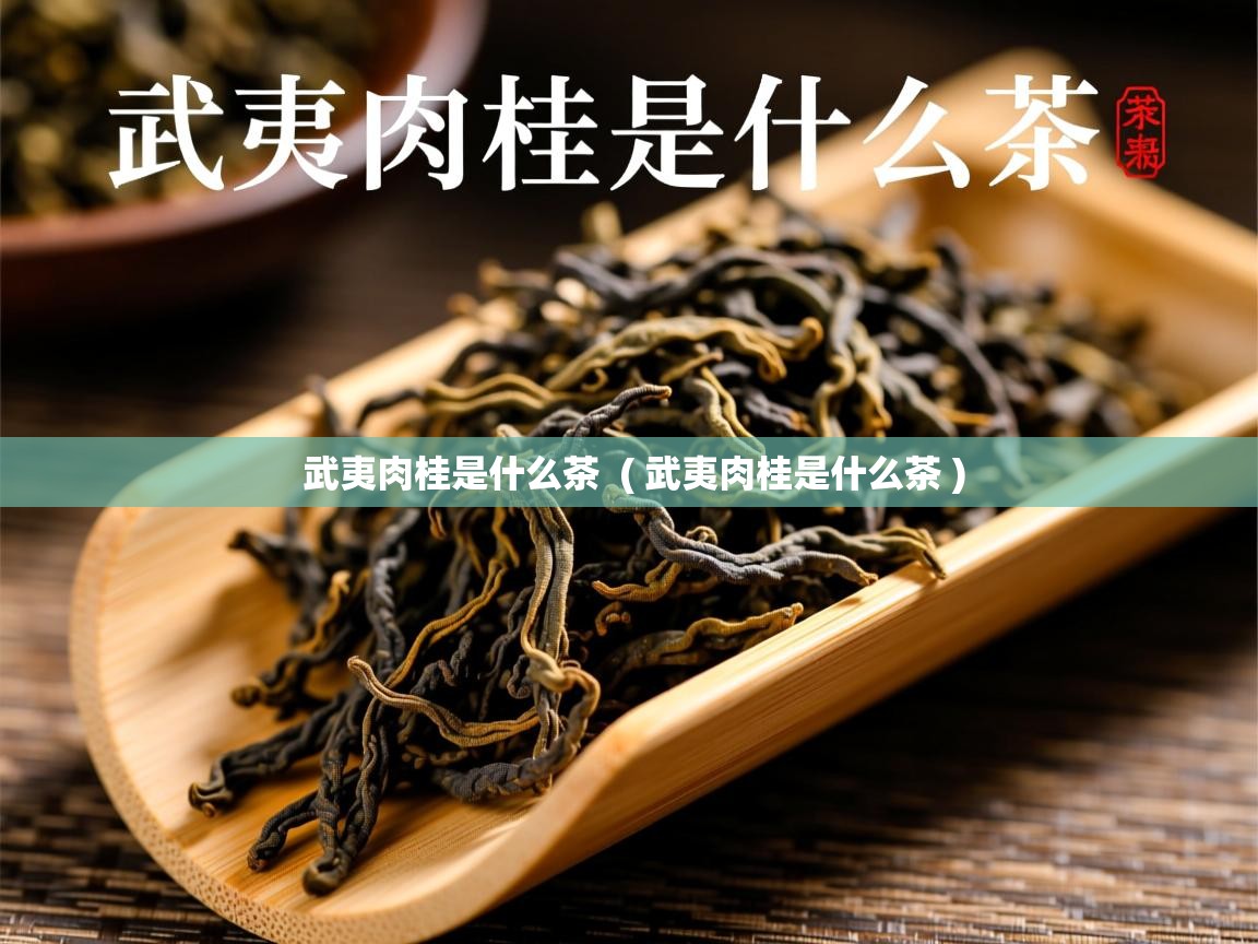 武夷肉桂是什么茶  ( 武夷肉桂是什么茶 )  武夷肉桂是什么茶  ( 武夷肉桂是什么茶 )