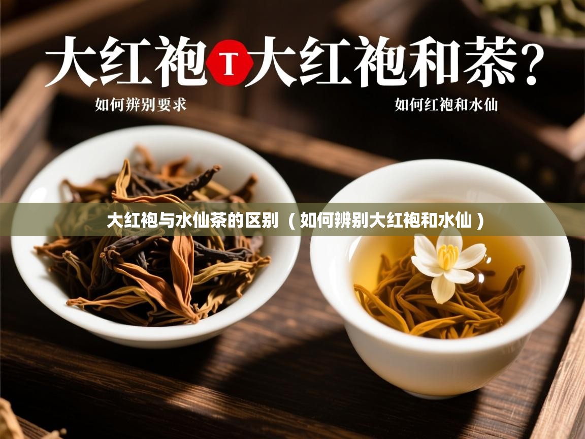  大红袍与水仙茶的区别  ( 如何辨别大红袍和水仙 )