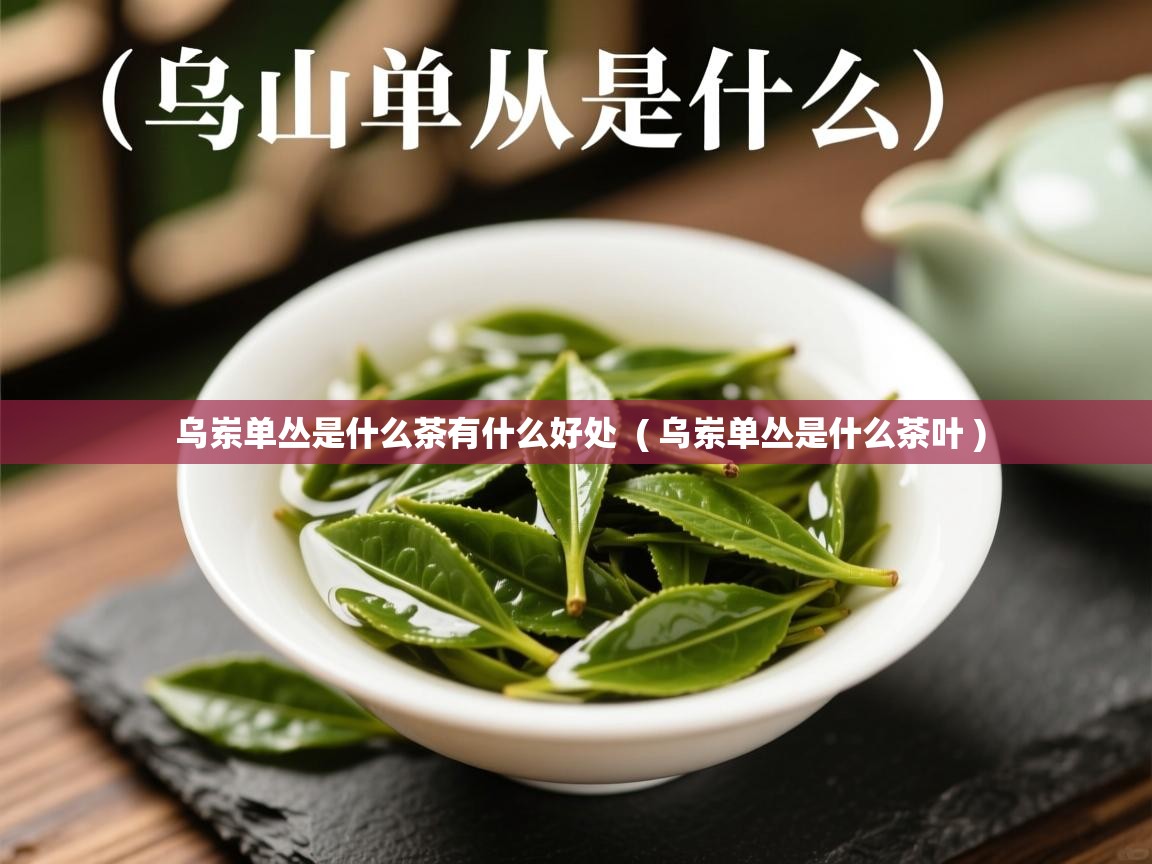  乌岽单丛是什么茶有什么好处  ( 乌岽单丛是什么茶叶 )