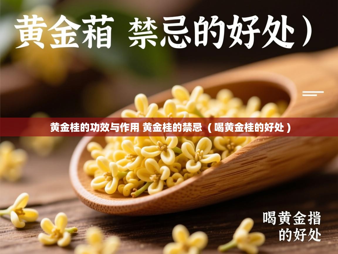  黄金桂的功效与作用 黄金桂的禁忌  ( 喝黄金桂的好处 )