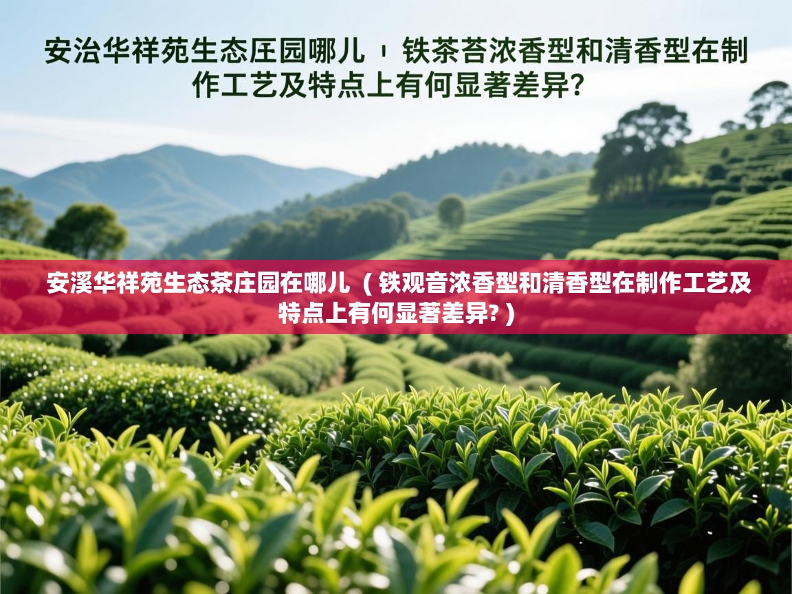 安溪华祥苑生态茶庄园在哪儿  ( 铁观音浓香型和清香型在制作工艺及特点上有何显著差异? )  安溪华祥苑生态茶庄园在哪儿  ( 铁观音浓香型和清香型在制作工艺及特点上有何显著差异? )