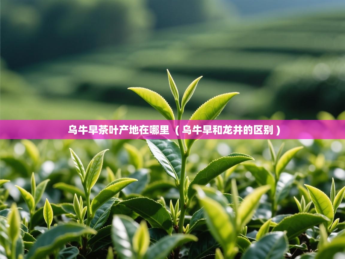 详细阅读: 乌牛早茶叶产地在哪里  ( 乌牛早和龙井的区别 )  乌牛早茶叶产地在哪里  ( 乌牛早和龙井的区别 )