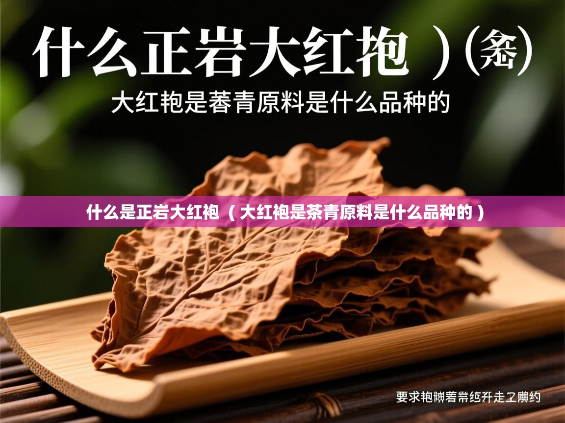 详细阅读: 什么是正岩大红袍  ( 大红袍是茶青原料是什么品种的 )  什么是正岩大红袍  ( 大红袍是茶青原料是什么品种的 )