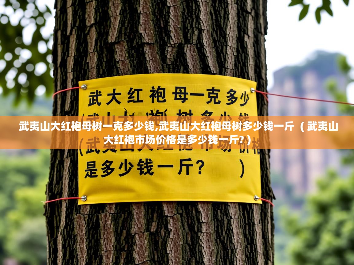 武夷山大红袍母树一克多少钱,武夷山大红袍母树多少钱一斤  ( 武夷山大红袍市场价格是多少钱一斤? )  武夷山大红袍母树一克多少钱,武夷山大红袍母树多少钱一斤  ( 武夷山大红袍市场价格是多少钱一斤? )